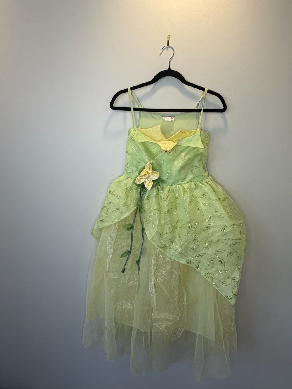 Bibbity Boppity Tiana Dress 11/12